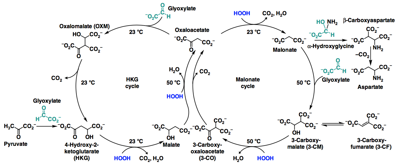 Figure 2 from paper